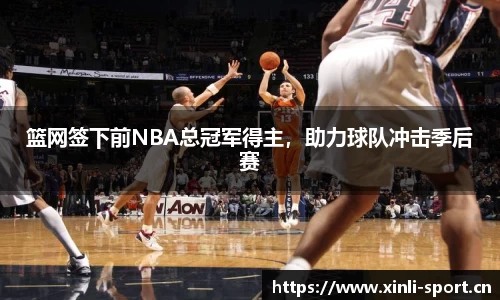 篮网签下前NBA总冠军得主，助力球队冲击季后赛
